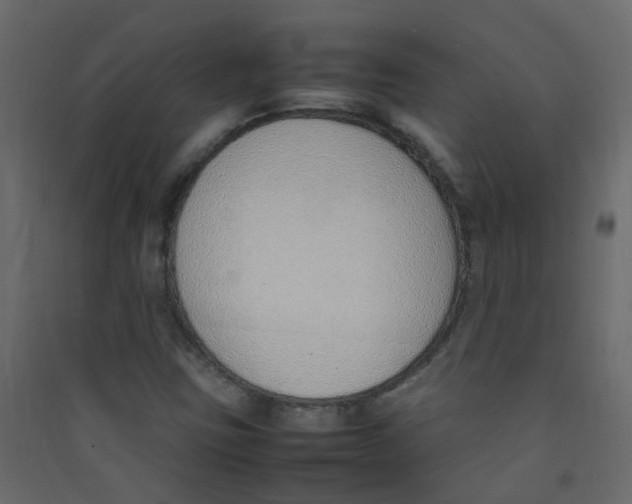 X0000089461403200707131938