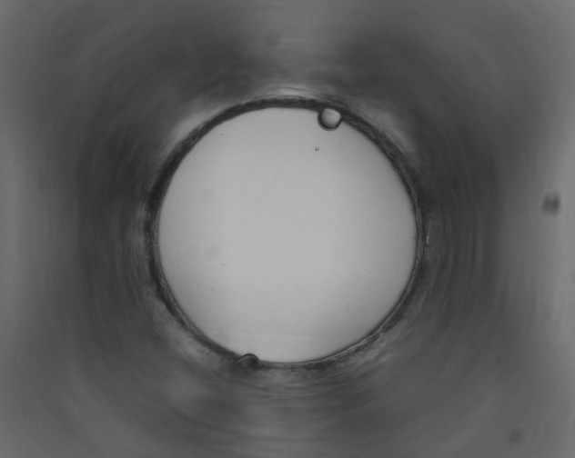 X0000089461404200707131938