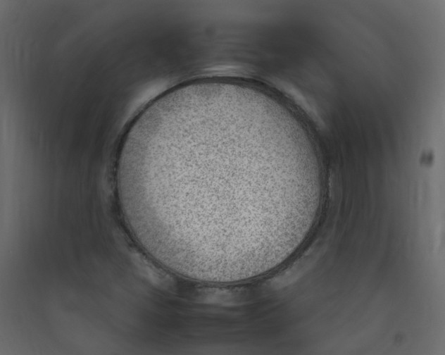 X0000089461405200707131938