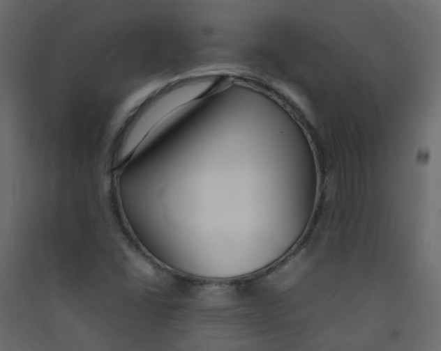 X0000089461406200707131938