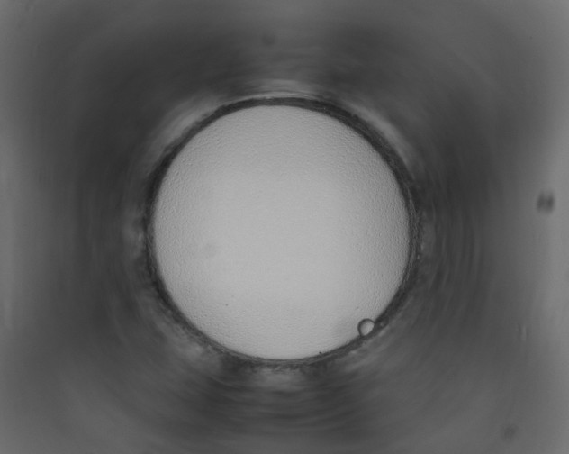 X0000089461407200707131938