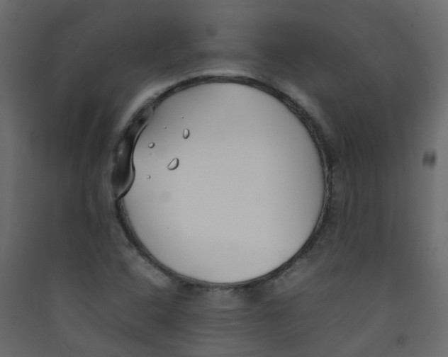 X0000089461408200707131938