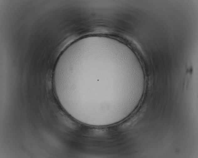 X0000089461409200707131938