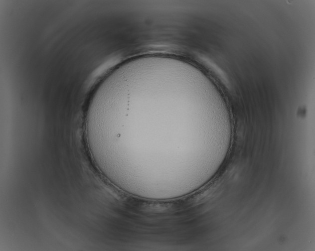 X0000089461411200707131938