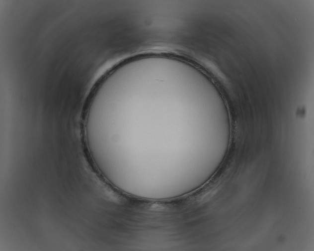 X0000089461412200707131938