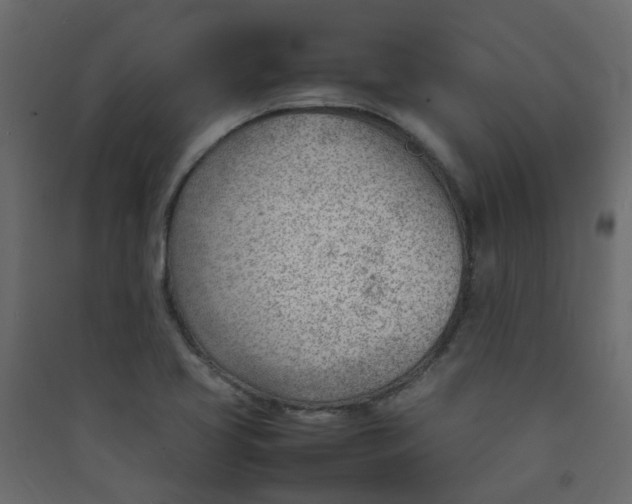X0000089461413200707131938