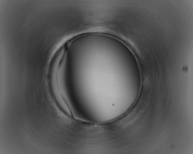 X0000089461414200707131938
