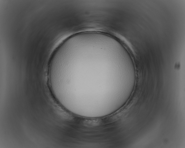 X0000089461415200707131938