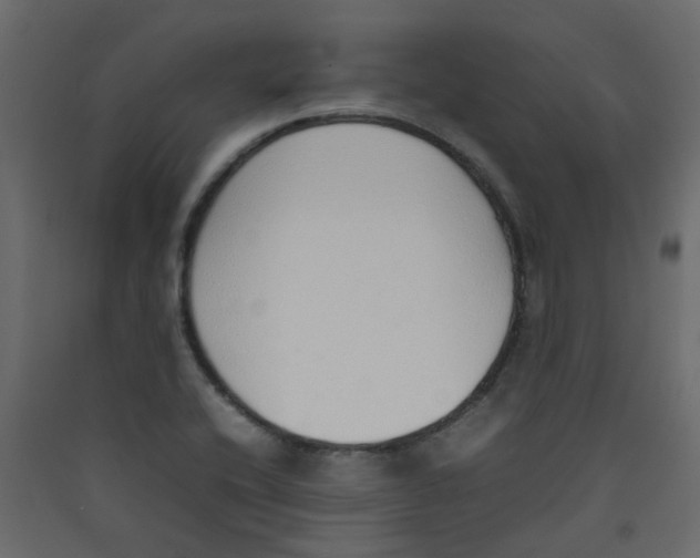 X0000089461416200707131938