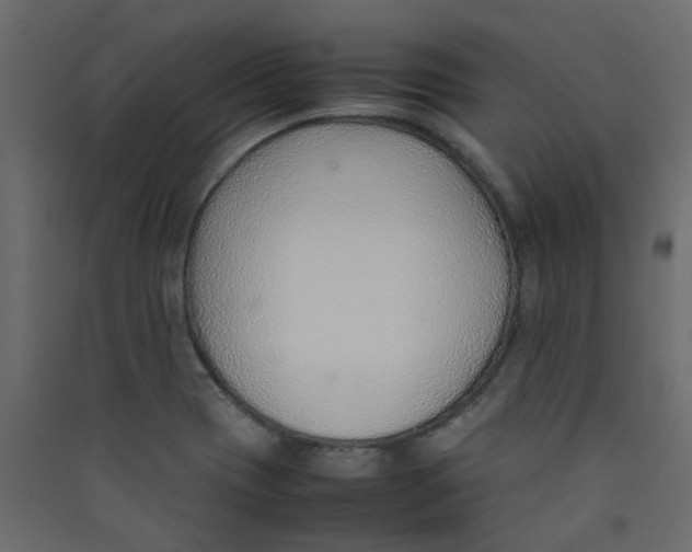 X0000089461417200707131938