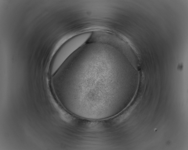 X0000089461418200707131938