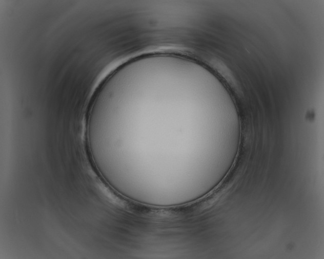 X0000089461420200707131938