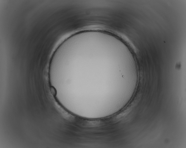 X0000089461421200707131938