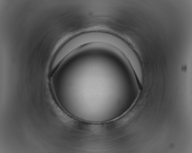 X0000089461422200707131938