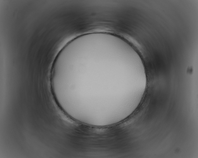 X0000089461423200707131938