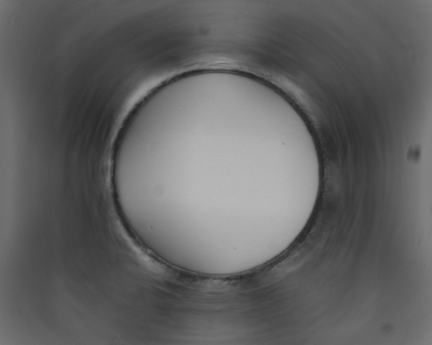 X0000089461424200707131938
