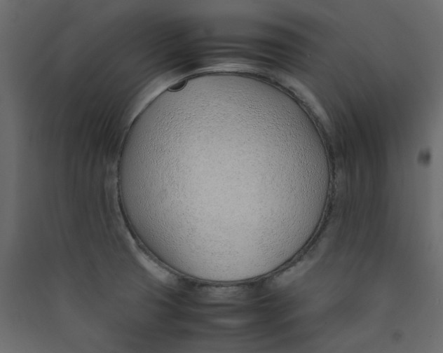 X0000089461425200707131938