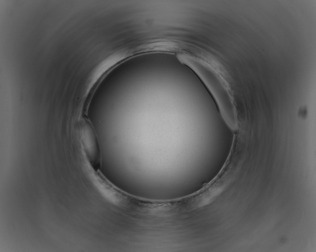 X0000089461426200707131939
