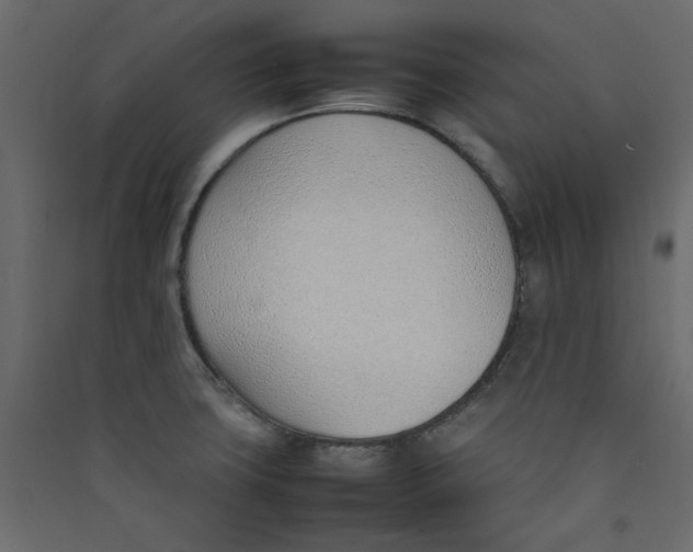 X0000089461427200707131939