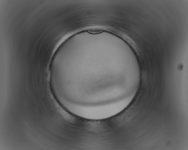 X0000089461428200707131939