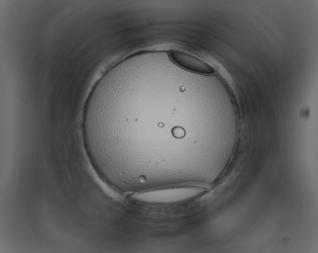 X0000089461429200707131939