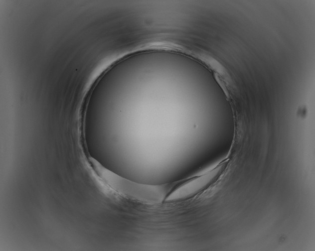 X0000089461430200707131939