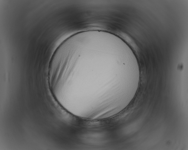 X0000089461431200707131939