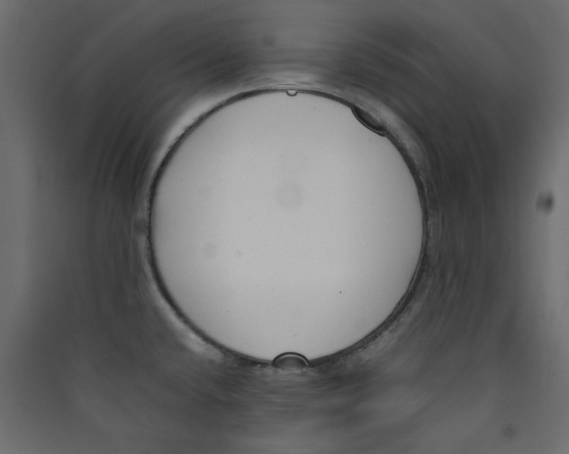 X0000089461432200707131939