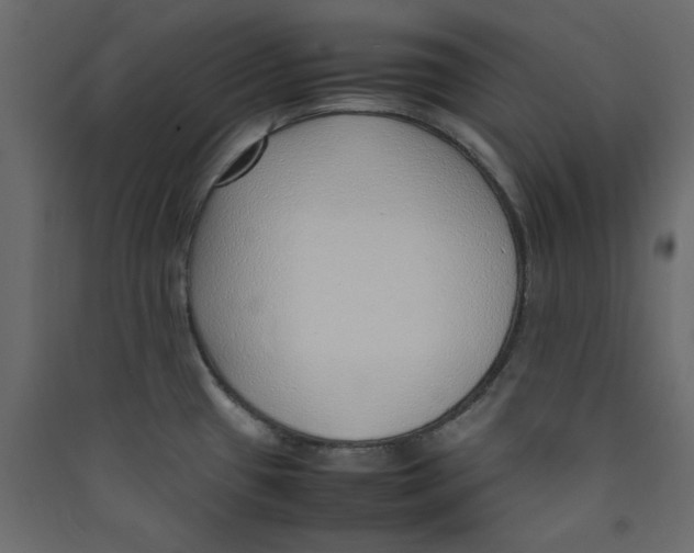 X0000089461433200707131939
