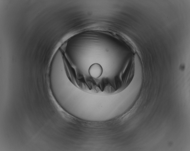 X0000089461434200707131939
