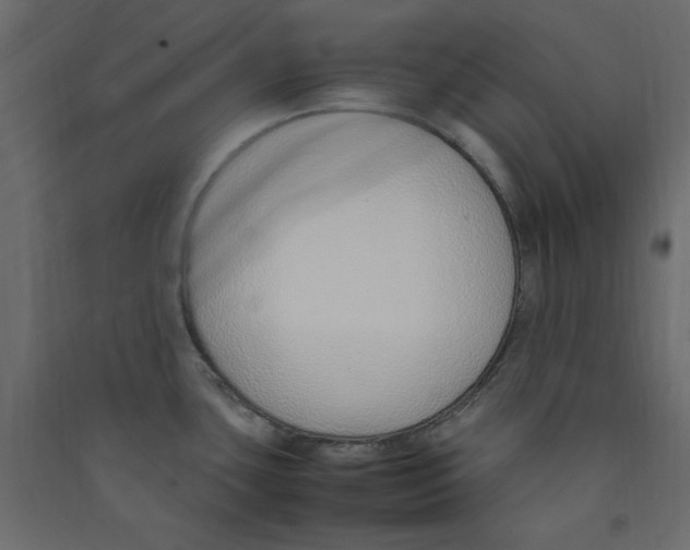X0000089461435200707131939