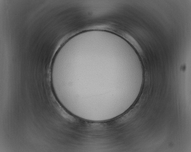 X0000089461436200707131939