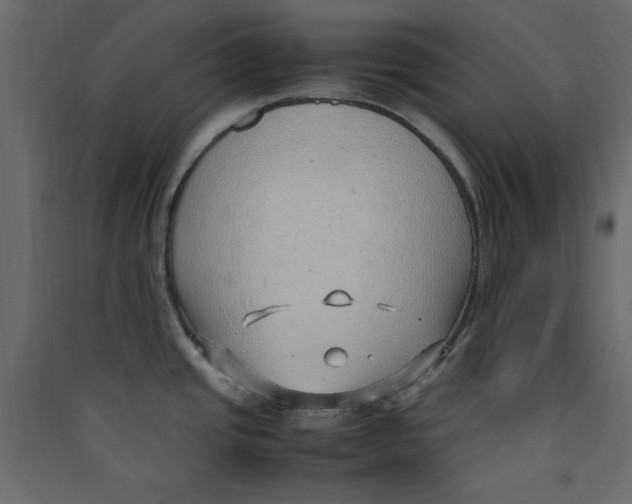 X0000089461437200707131939