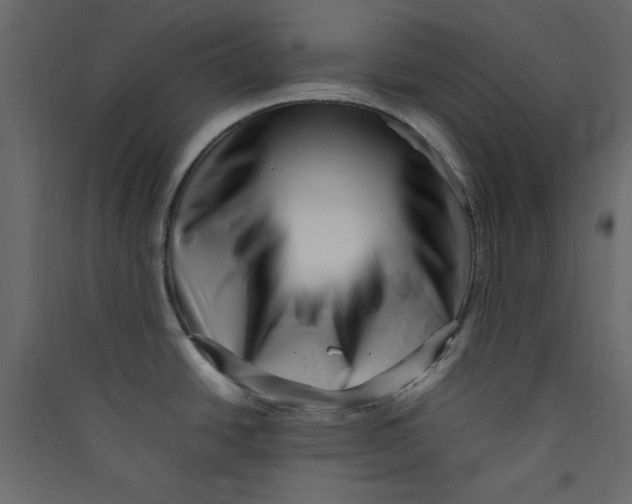 X0000089461438200707131939