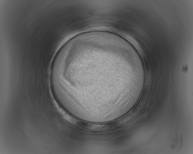 X0000089461439200707131939