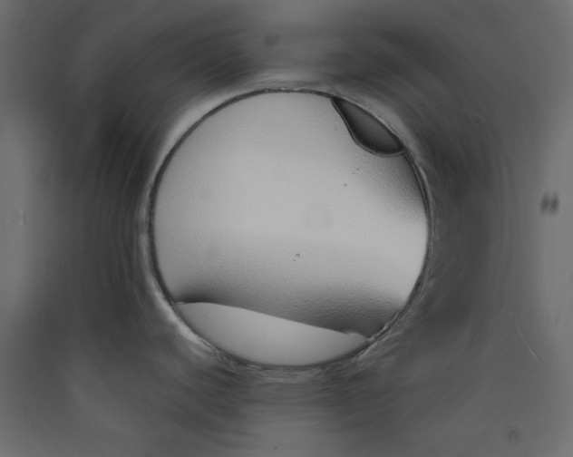 X0000089461440200707131939