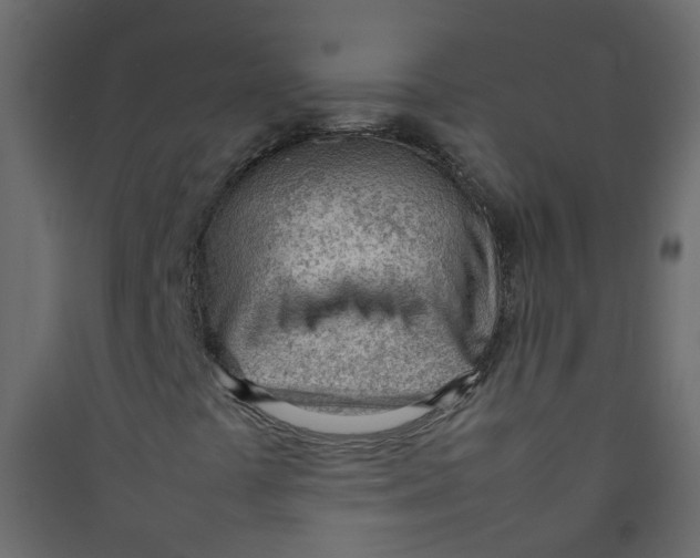 X0000089461441200707131938