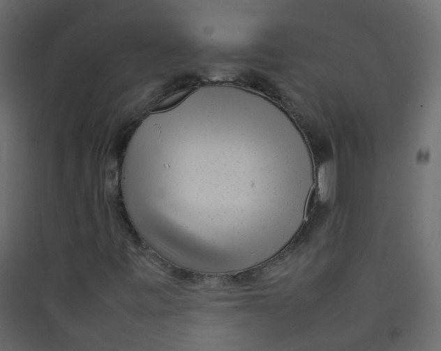 X0000089461443200707131938
