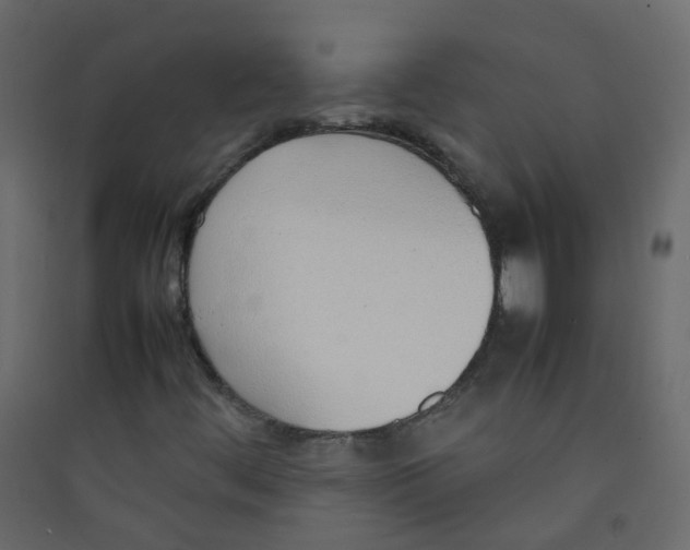 X0000089461444200707131938