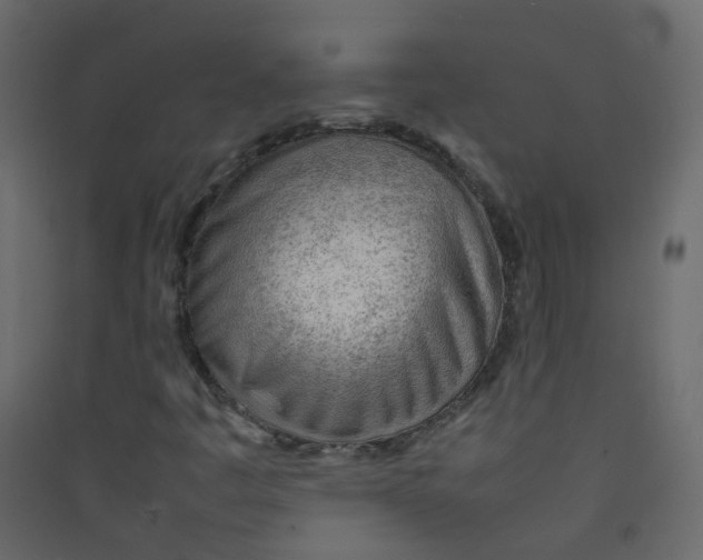 X0000089461445200707131938