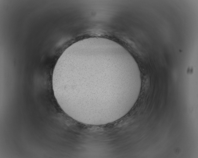 X0000089461446200707131938