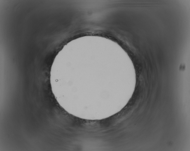 X0000089461447200707131938