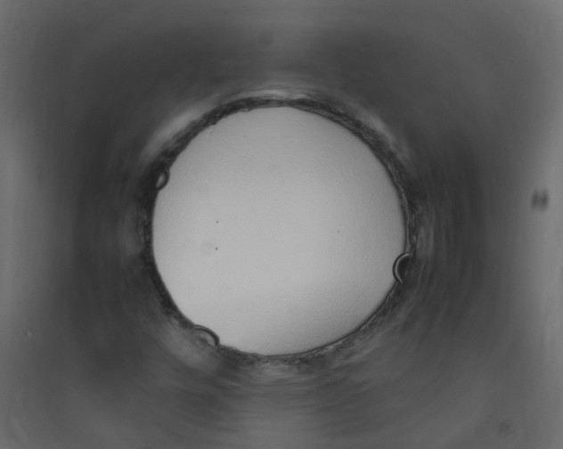 X0000089461448200707131938