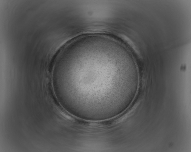X0000089461449200707131938