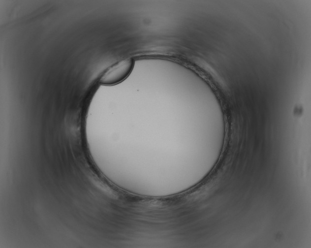 X0000089461450200707131938