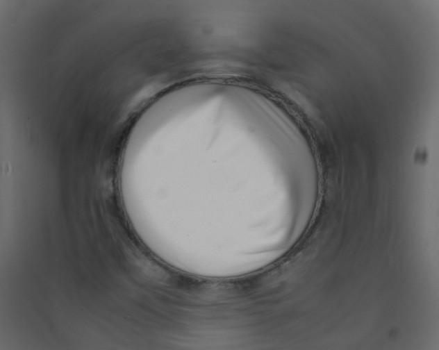 X0000089461451200707131938