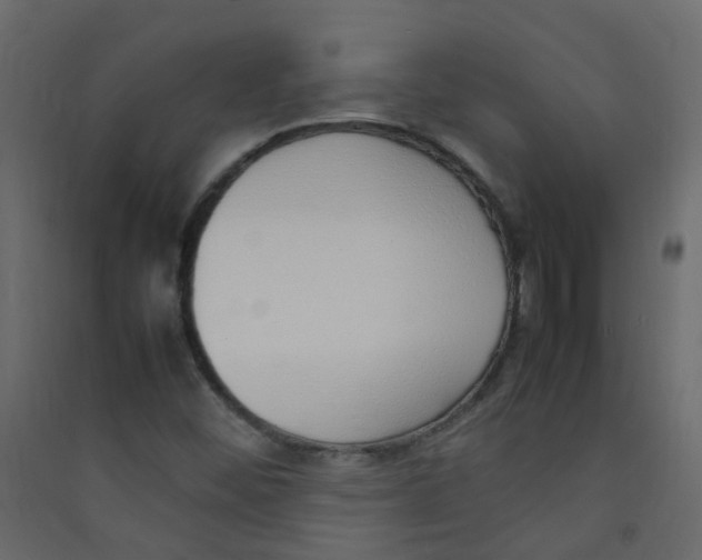 X0000089461452200707131938