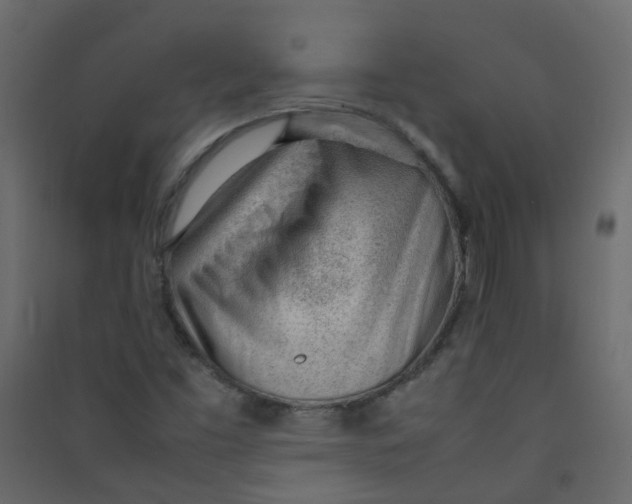 X0000089461453200707131938