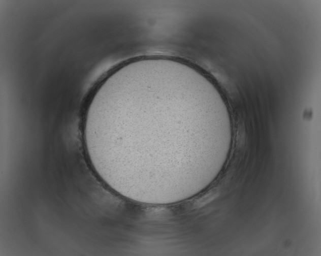 X0000089461454200707131938