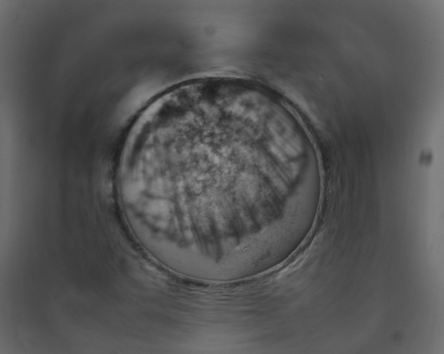 X0000089461455200707131938
